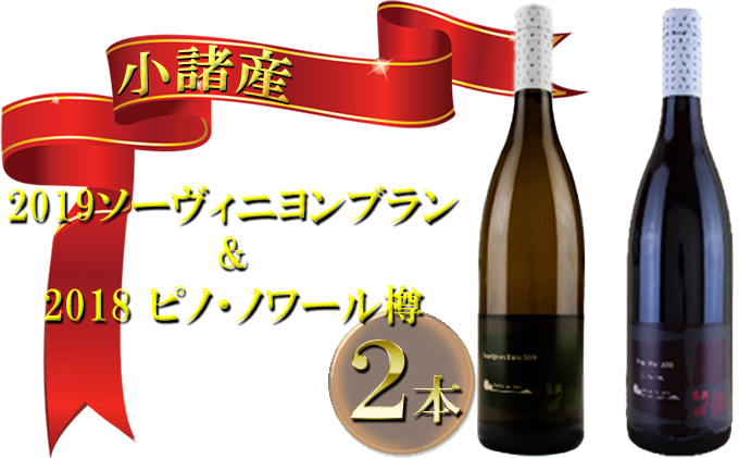 小諸産 2019ソーヴィニヨンブラン&2018ピノ・ノワール樽 2本セット お酒 ワインセット 赤ワイン 白ワイン ワイン