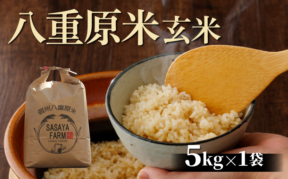 玄米　(5kg×1袋)　12回定期便）八重原米　甘い　お米　美味しい　コシヒカリ　5kg　長野県東御市-