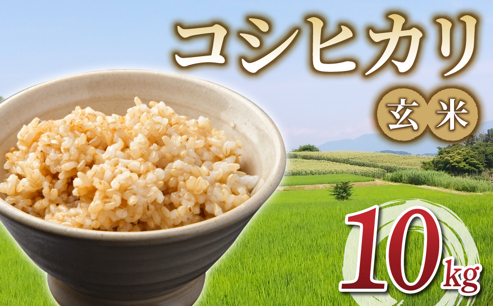 令和6年産 新米！有機肥料使用のコシヒカリ 玄米 10kg(5kg×2袋）｜長野県東御市