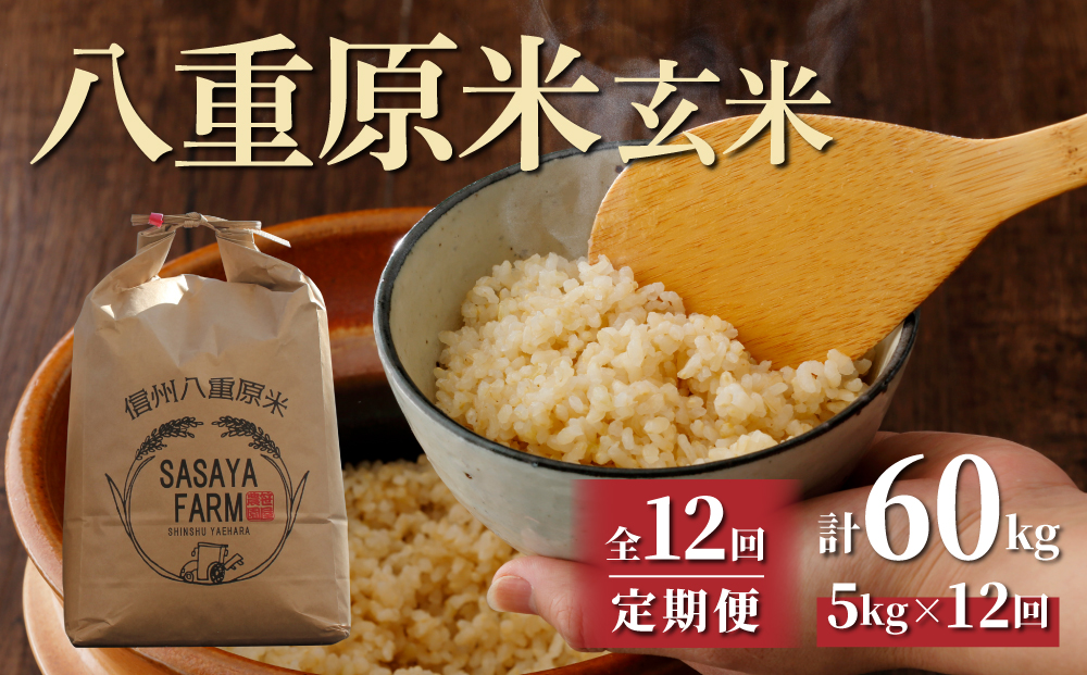 【12回定期便】 八重原米5kg（5kg×1袋）玄米