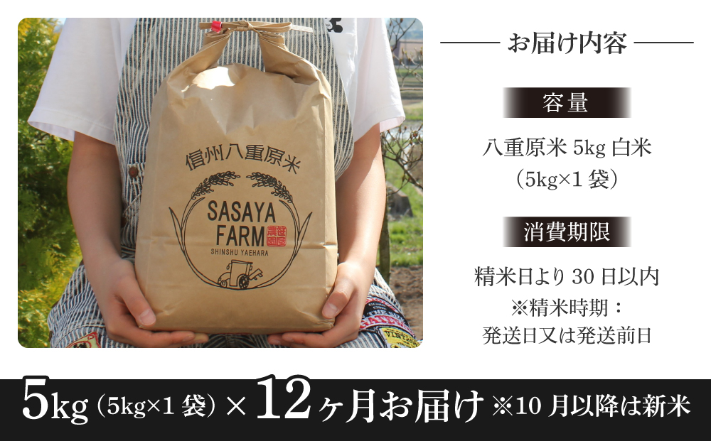 12回定期便】八重原米5kg（5kg×1袋）白米｜ふるラボ