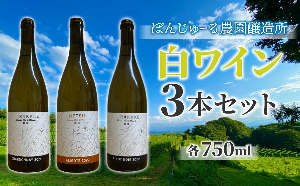 【ぼんじゅーる農園醸造所】3種の白ワイン3本セット| 国産 長野県 お酒