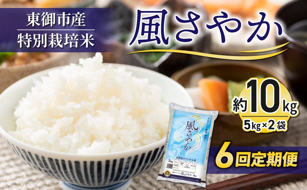 【６回定期便】東御市産の特別栽培米「風さやか」約10?