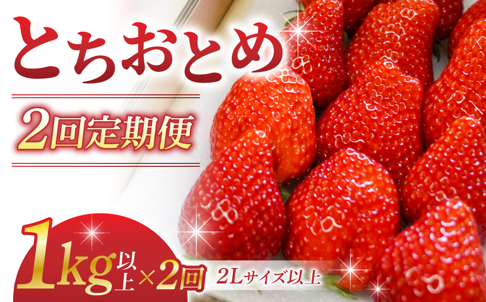 【２回定期便】東御市産いちご「とちおとめ」（１kg以上）