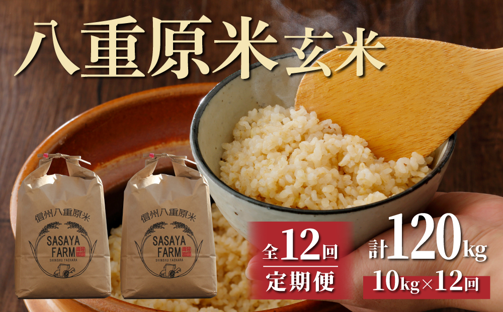 【12回定期便】 八重原米10kg（5kg×2袋）玄米