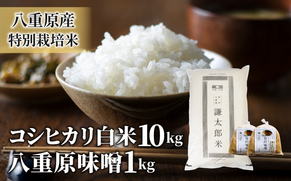 ★新米★[白米]特別栽培米コシヒカリ１０ｋｇ有機肥料減農薬栽培
