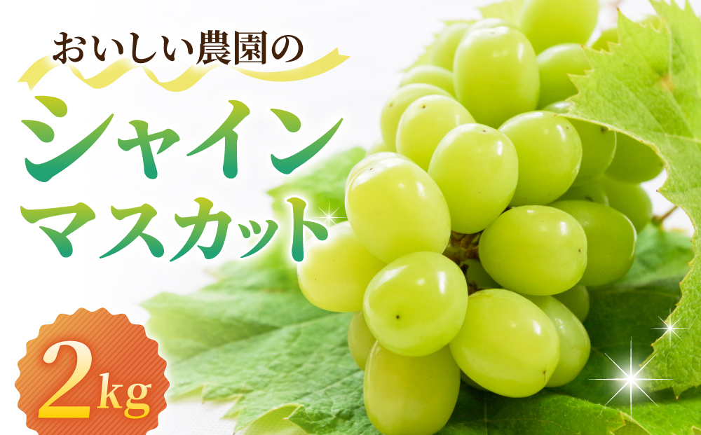 【先行受付2025年発送】シャインマスカット約2kg（4~6房）｜御牧原おいしい農園　※2025年10月初旬~10月下旬頃発送予定