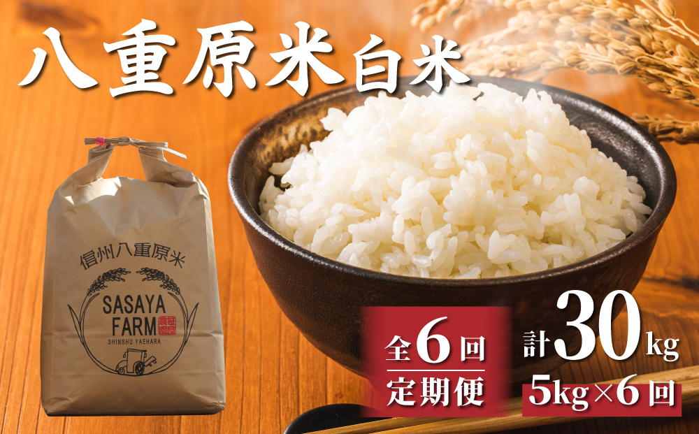 【6回定期便】八重原米5kg（5kg×1袋）白米