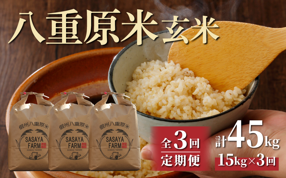 【3回定期便】 八重原米15kg（5kg×3袋）玄米