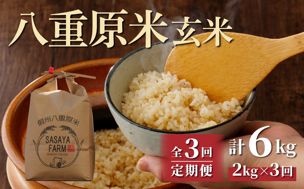 【3回定期便】 八重原米2kg（2kg×1袋）玄米