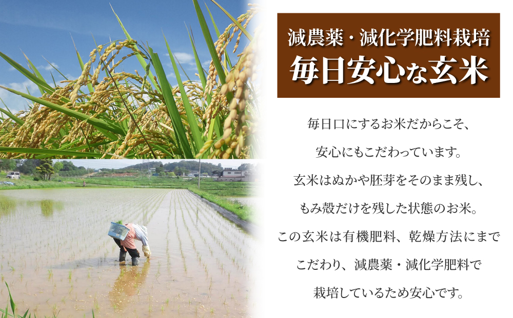 太陽と大地】八重原産特別栽培米（減農薬・減化学肥料栽培）コシヒカリ