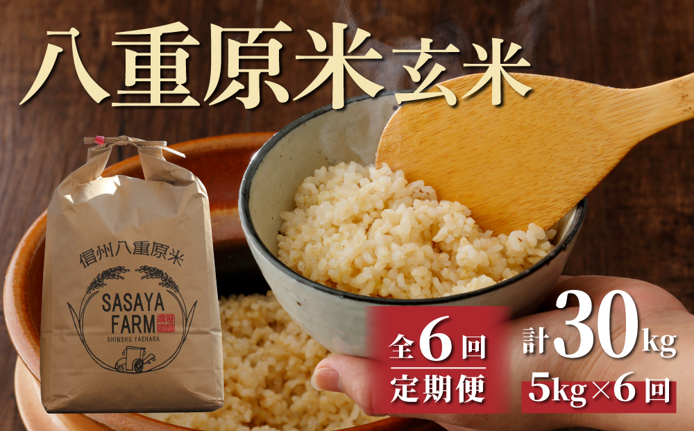 【6回定期便】 八重原米5kg（5kg×1袋）玄米