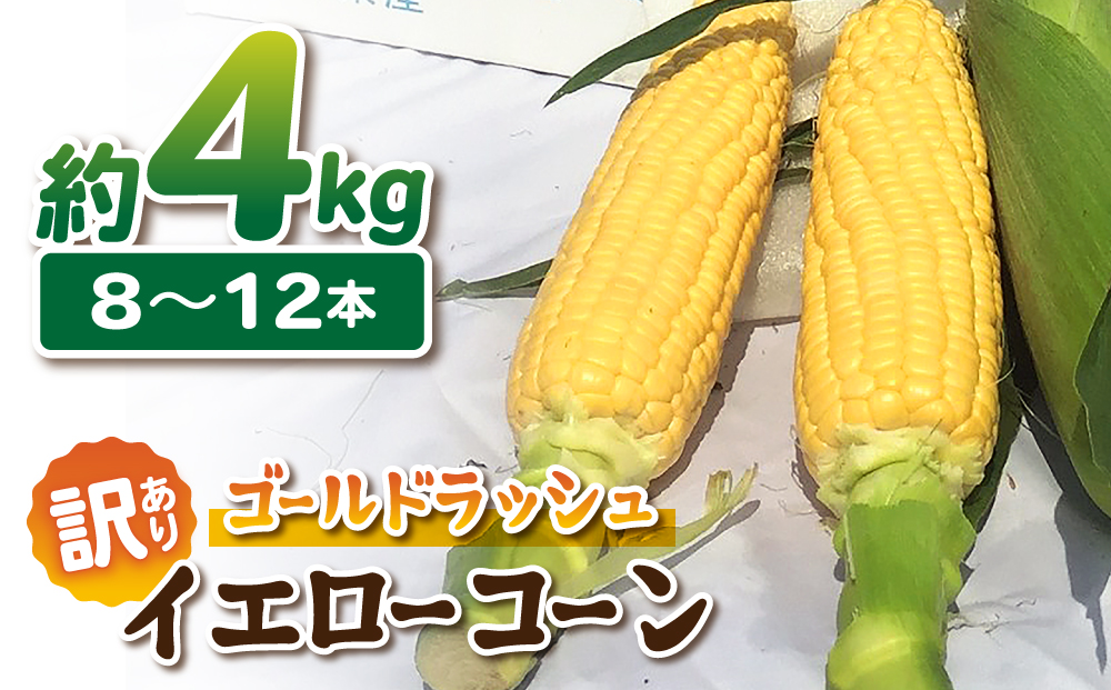 [先行受付2025年発送]訳あり東御市産とうもろこし(ゴールドラッシュ)約4kg(8〜12本)|スイートコーン ※2025年7月上旬頃〜9月中旬頃に順次発送予定※着日指定不可