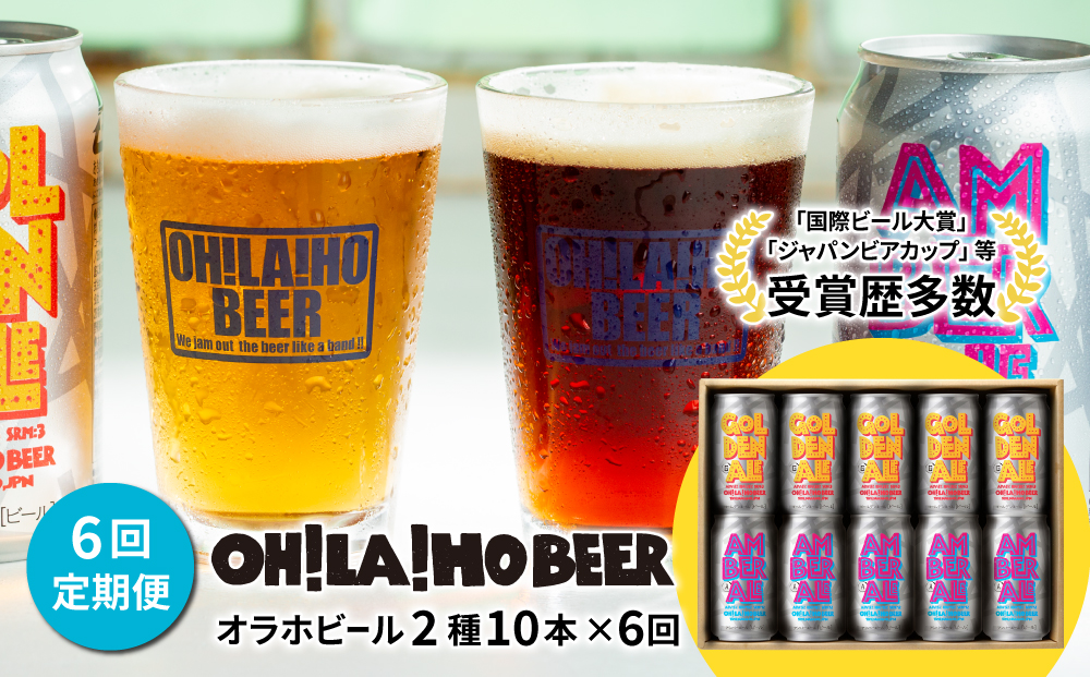 クラフトビール 定期便 (6回) 飲み比べ 10本セット (ゴールデンエール・アンバーエール) オラホビール 詰め合わせ お酒 地ビール ギフト プレゼント お歳暮 お中元 父の日 長野県東御市