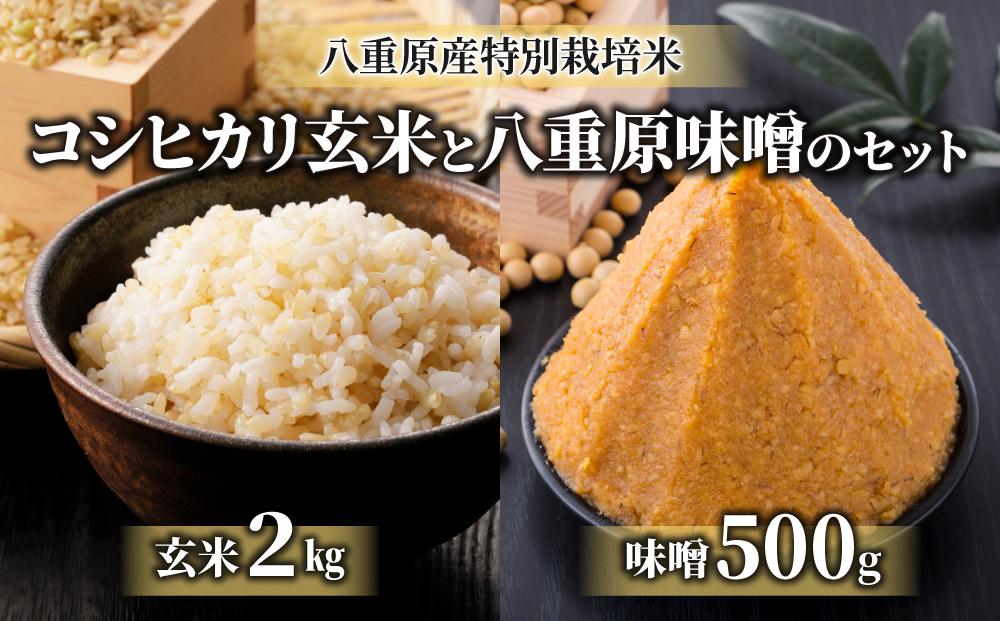ふるさと納税　【６回定期便】八重原米2kg（2kg×1袋）玄米