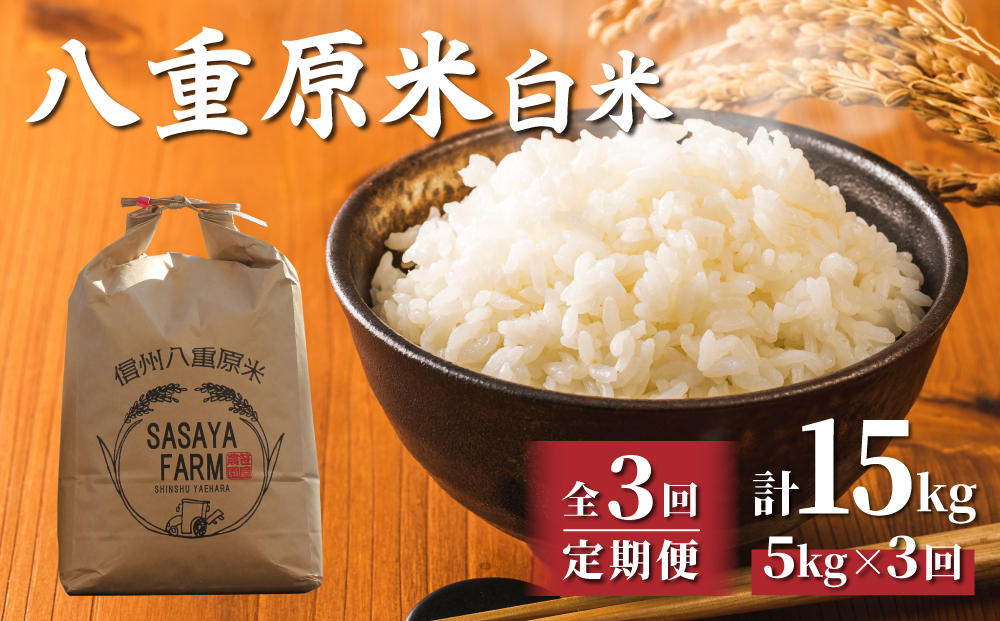 【3回定期便】八重原米5kg（5kg×1袋）白米