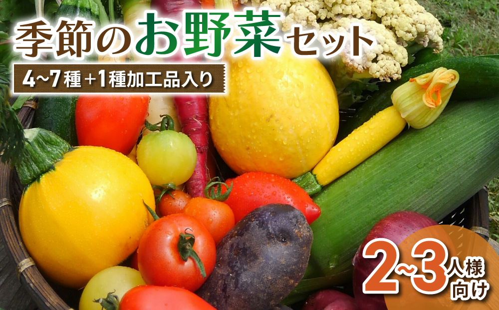 【アグロノーム】季節のお野菜セット（２〜３人様向け）※2024年7月以降発送開始
