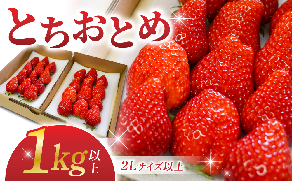 【BERRY PLANTS FACTORY】東御市産とちおとめ１kg以上