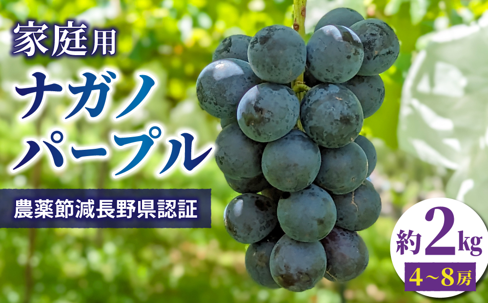 【先行受付2025年発送】家庭用ナガノパープル2kg（4~8房）農薬節減長野県認証｜東御こもだ果樹園 ※2025年9月上旬～9月下旬に発送予定