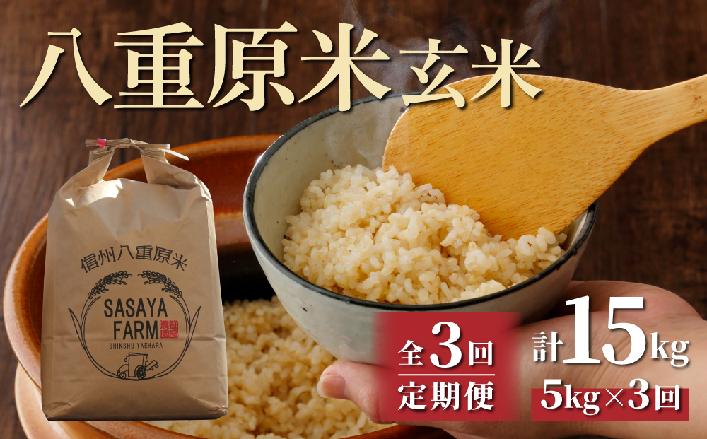 5kg　玄米　ふるさと納税　【3回定期便】八重原米　東御市　(5kg×1袋)-
