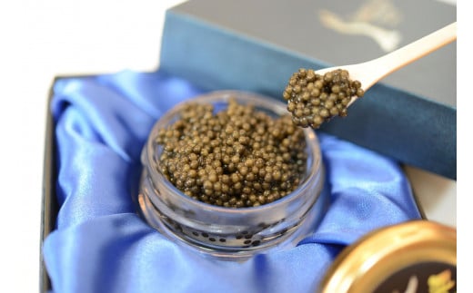中津川キャビア S Caviar オシェトラ（ロシアチョウザメ）