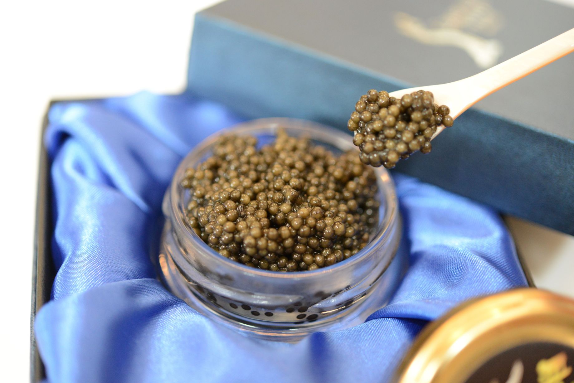 中津川キャビア S Caviar  食べ比べ3種（オシェトラ＋2種） 160-002
