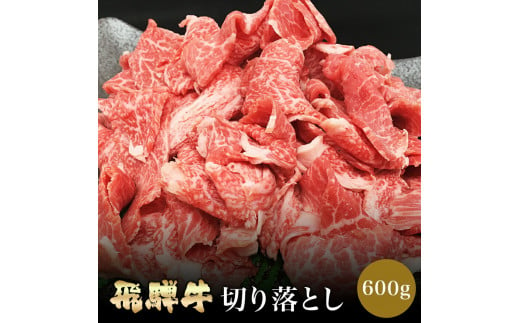 「肉の芸術品」飛騨牛切り落とし（モモ、肩、バラ）600g【用途は様々！焼肉、BBQ、すき焼き、煮物、牛丼、炒め物など】 F4N-1697