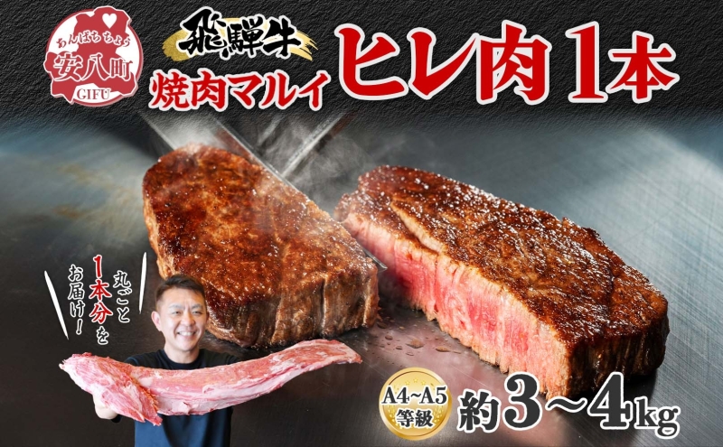 飛騨牛 ヒレ肉 ブロック A4～A5等級 1本 約3～4kg 3～4分割 ヒレ シャトーブリアン 肉 牛肉 ブランド牛 お肉 和牛 贅沢 お取り寄せ  ご褒美 ステーキ 豪華 グルメ 焼肉 BBQ パーティー ギフト 贈り物 自家用 贈答用 焼肉マルイ 岐阜県 【 安八町 】｜ふるラボ