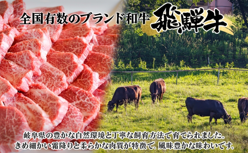 飛騨牛 ヒレ肉 ブロック A4～A5等級 1本 約3～4kg 3～4分割 ヒレ シャトーブリアン 肉 牛肉 ブランド牛 お肉 和牛 贅沢 お取り寄せ  ご褒美 ステーキ 豪華 グルメ 焼肉 BBQ パーティー ギフト 贈り物 自家用 贈答用 焼肉マルイ 岐阜県 【 安八町 】｜ふるラボ