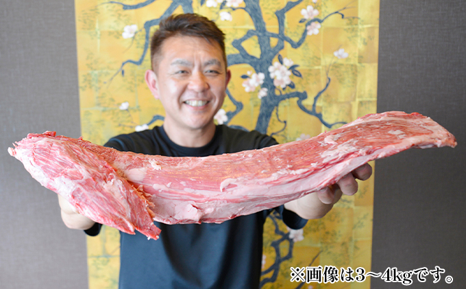 飛騨牛 ヒレ肉 2本 約6～8kg（ヒレブロック肉 シャトーブリアン）6～8