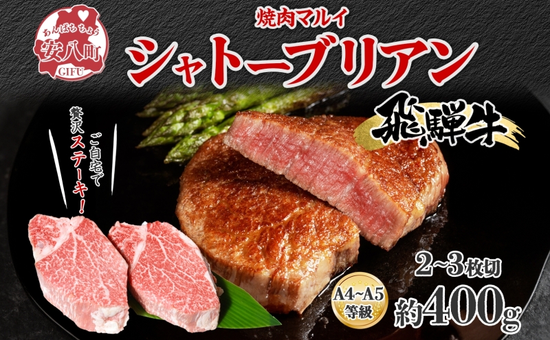 飛騨牛 シャトーブリアン ステーキ 約400g 2～3枚切り 肉 牛肉 和牛 ブランド牛 お肉 ビーフ ヒレ 希少部位 赤身 贅沢 国産 お取り寄せ ご褒美 豪華 グルメ 焼肉 BBQ パーティー ギフト 贈り物 自家用 贈答用 送料無料 焼肉マルイ 岐阜県 【 安八町 】