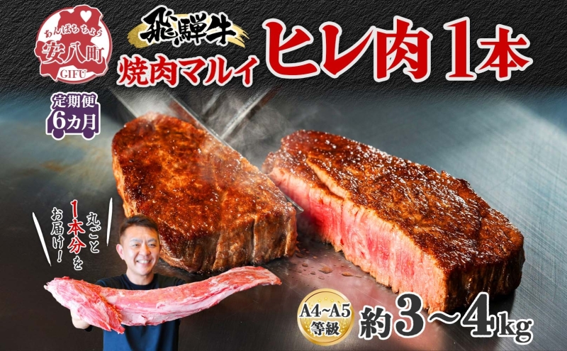 飛騨牛 ヒレ肉 ブロック A4～A5等級 1本6ヵ月定期便約3～4kg  3割×6 ヒレ シャトーブリアン 肉 牛肉 ブランド牛 お肉 和牛 贅沢 お取り寄せ ご褒美 ステーキ 豪華 グルメ 焼肉 BBQ パーティー ギフト 贈り物 自家用 贈答用 焼肉マルイ 岐阜県 【 安八町 】