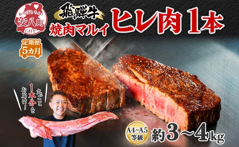 飛騨牛 ヒレ肉 ブロック A4～A5等級 1本5ヵ月定期便約3～4kg  3割×5 ヒレ シャトーブリアン 肉 牛肉 ブランド牛 お肉 和牛 贅沢 お取り寄せ ご褒美 ステーキ 豪華 グルメ 焼肉 BBQ パーティー ギフト 贈り物 自家用 贈答用 焼肉マルイ 岐阜県 【 安八町 】