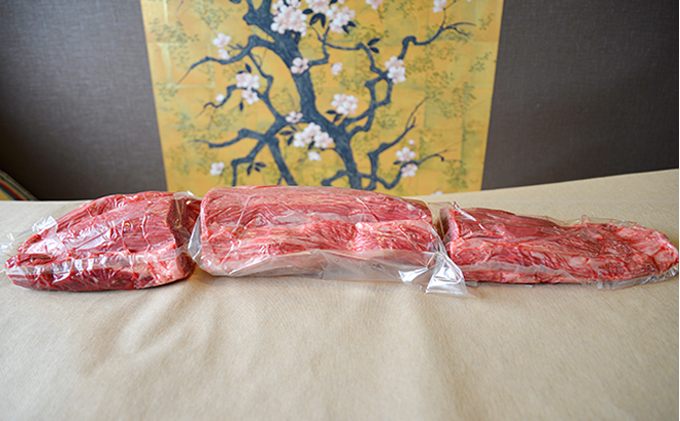 飛騨牛ヒレ肉1本5ヵ月定期便約3～4kg（ヒレブロック肉シャトーブリアン