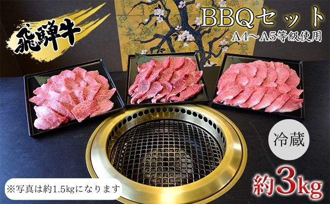 飛騨牛 BBQセット 約3kg A4～A5等級使用｜ふるラボ