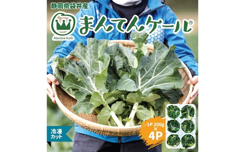 大きな割引 サラダケール やさいバス/サラダケール 3kg 野菜の王様