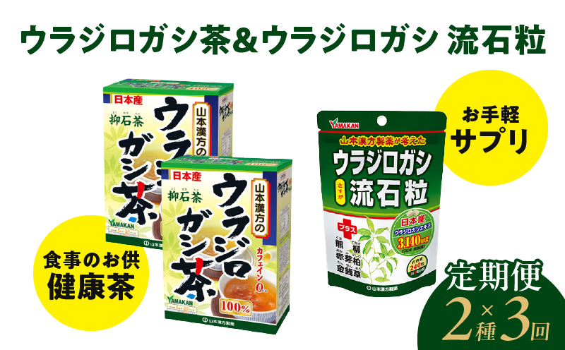 ＜3ヶ月連続＞ウラジロガシ茶＆ウラジロガシ 流石粒　山本漢方　定期便