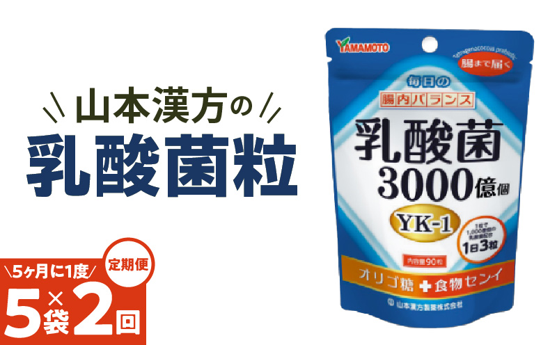 ＜5ヶ月に1度、2回送付＞乳酸菌粒　山本漢方　定期便