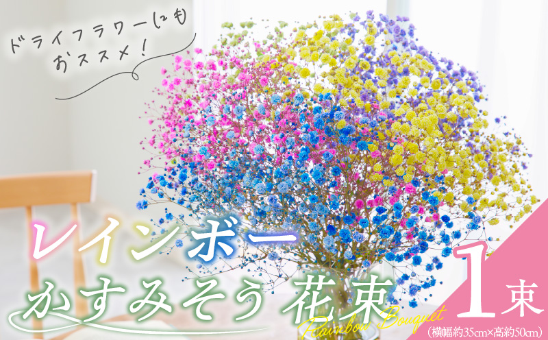 【佳花園】レインボーかすみそう 花束