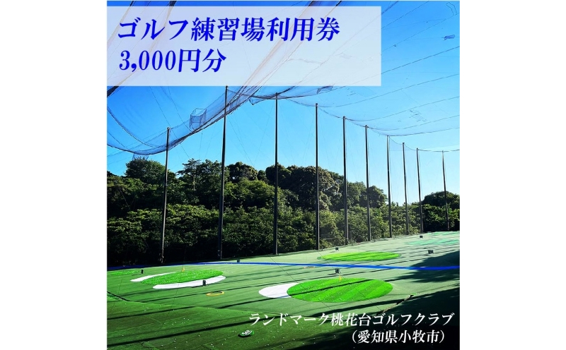 ゴルフ練習場 利用券3,000円分