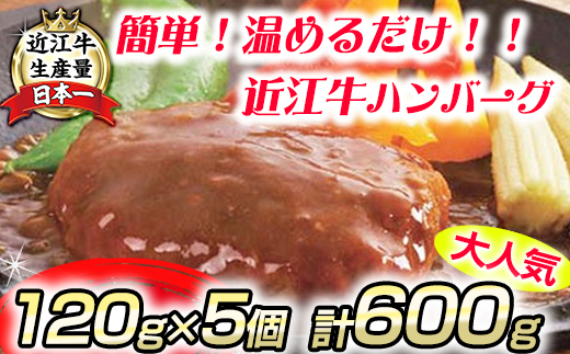 【総本家肉のあさの】近江牛ハンバーグ【600ｇ（120ｇ×5個）】【AE14SM】