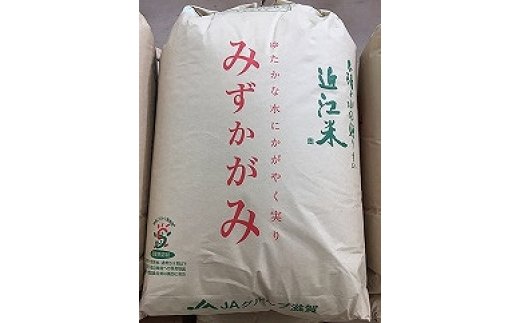 令和4年産】環境こだわり米「みずかがみ」玄米【30kg×1袋】【K073SM