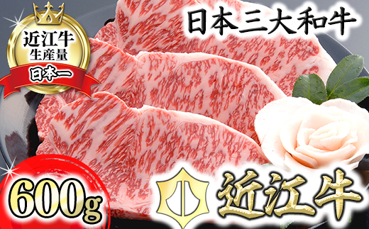 [4等級以上の未経産牝牛限定]近江牛サーロインステーキ[600g(200g×3枚)][AF04U]