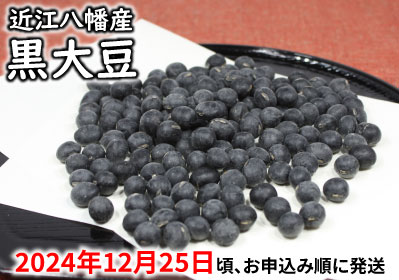 令和5年産　黒豆【500g】【AB54SM1】