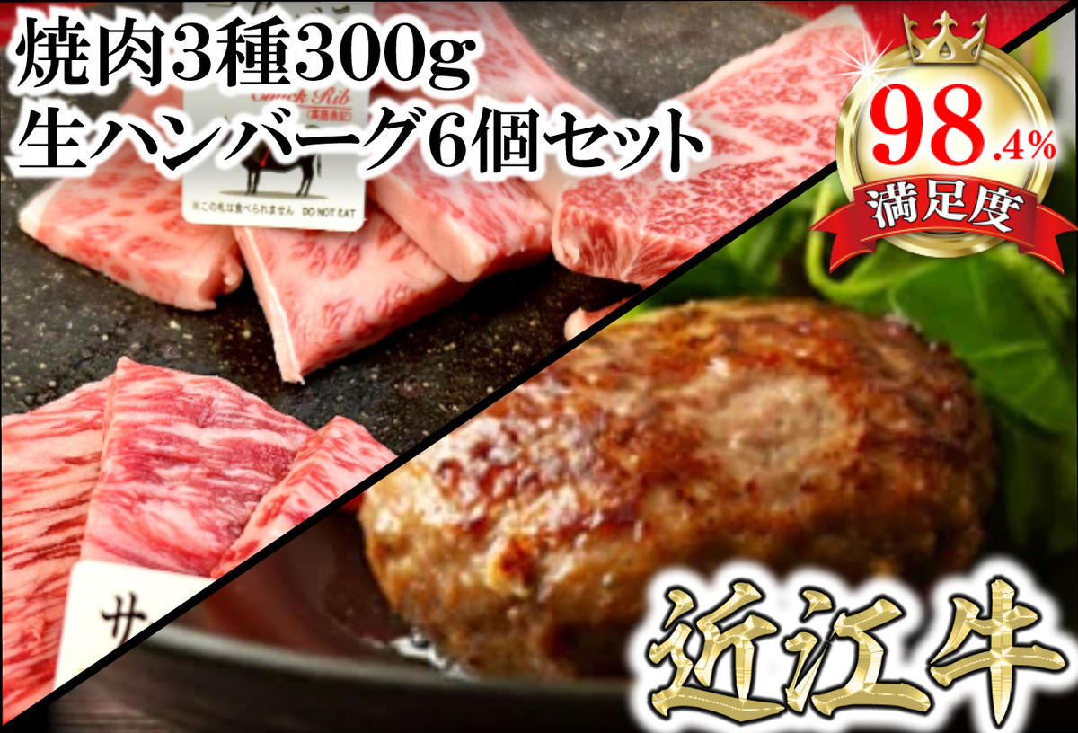 特撰近江牛おすすめ部位　焼肉3種300ｇ＆近江牛生ハンバーグ６個セット【FO41U】