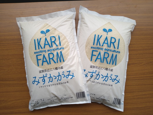 【6年産】冷めても美味しいあっさりとした味わい「みずかがみ」白米【10kg（5kg×2袋）】【C015SM2】