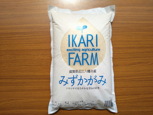 【6年産】冷めても美味しいあっさりとした味わい「みずかがみ」白米【5kg】【C014SM2】