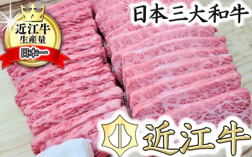 【総本家　肉のあさの】５等級近江牛焼肉用（肩ロース・バラ）【500ｇ】【AE12U】