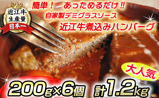 近江牛煮込みハンバーグ 自家製デミグラスソース [1200g(200g×6個)][DI01U]