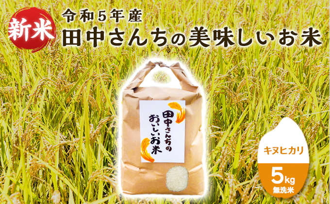 令和5年産新米】令和5年産田中さんちのおいしいお米A キヌヒカリ5kg